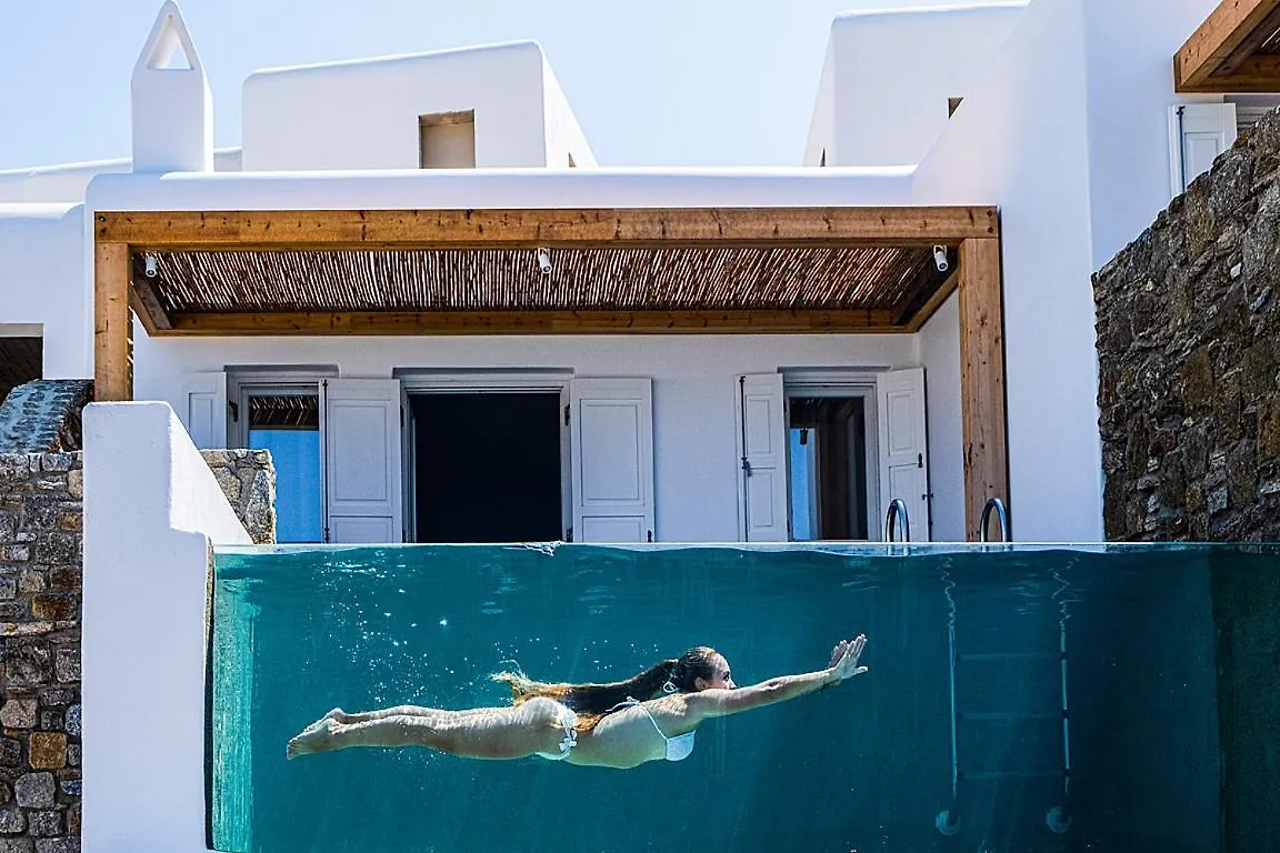 Amazon Mykonos Suites & Spa Agios Ioannis Diakoftis Hotel